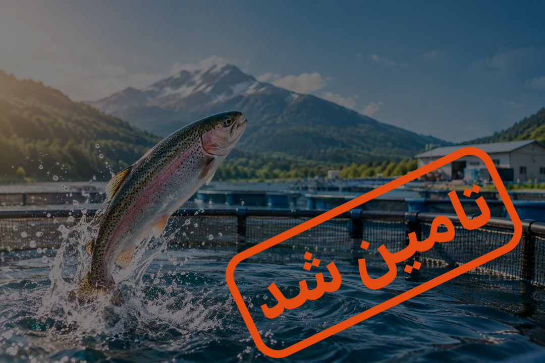 با ضمانت‌نامه تعهد پرداخت بانک ملی برای اصل سرمایه و بدون تضمین سود